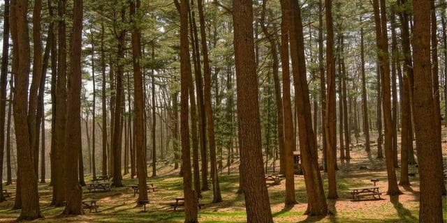 Batch API preview — process 100k requests at 50% lower cost