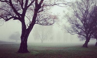 Best OpenAI API Alternatives in 2026: Ranked by Price