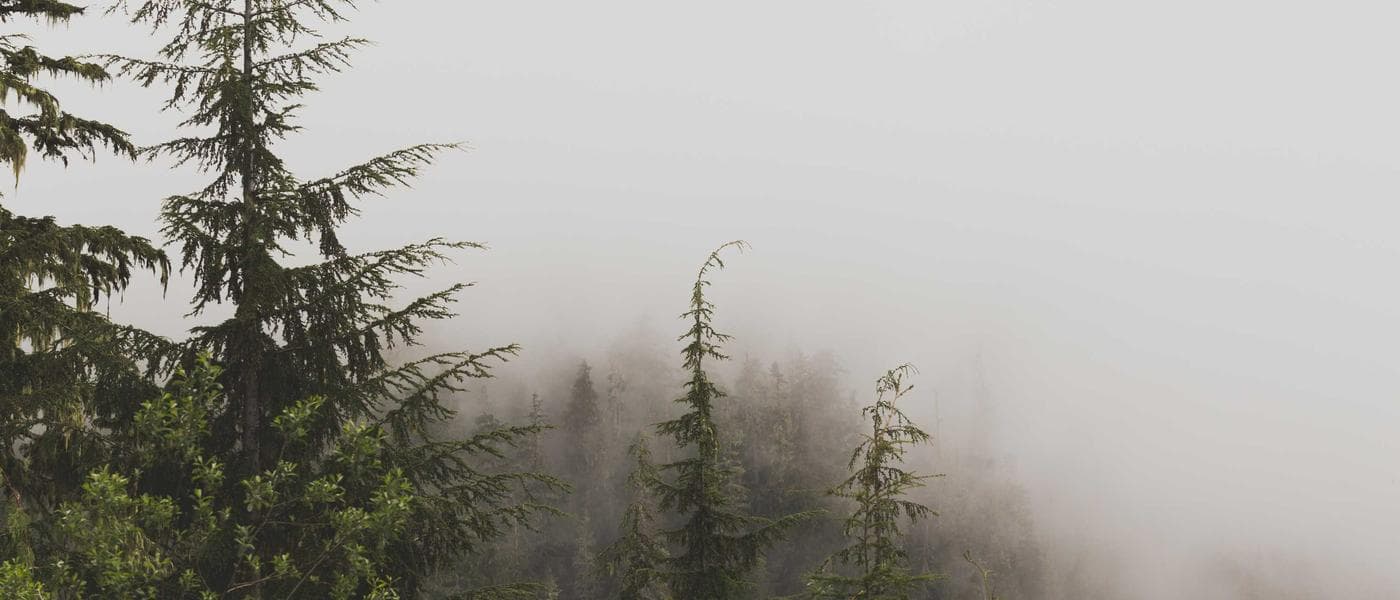 DeepSeek R1 for Reasoning: Benchmarks, Architecture, and Real Cost