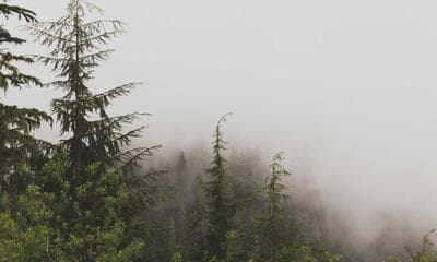 DeepSeek R1 for Reasoning: Benchmarks, Architecture, and Real Cost