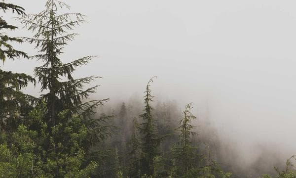 DeepSeek R1 for Reasoning: Benchmarks, Architecture, and Real Cost