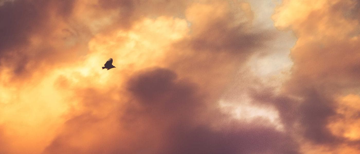 How to Switch from OpenAI to DeepSeek API in 5 Minutes