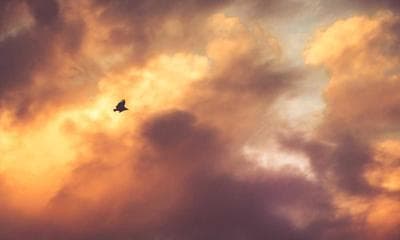 How to Switch from OpenAI to DeepSeek API in 5 Minutes