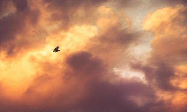 How to Switch from OpenAI to DeepSeek API in 5 Minutes