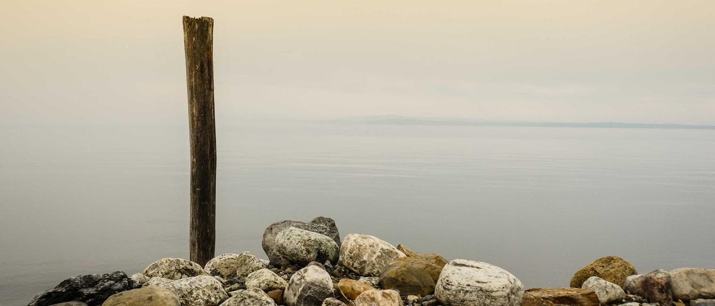 Text-to-Video in 2026: Getting Started with Wan 2.6