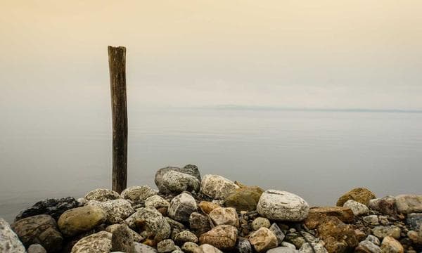 Text-to-Video in 2026: Getting Started with Wan 2.6