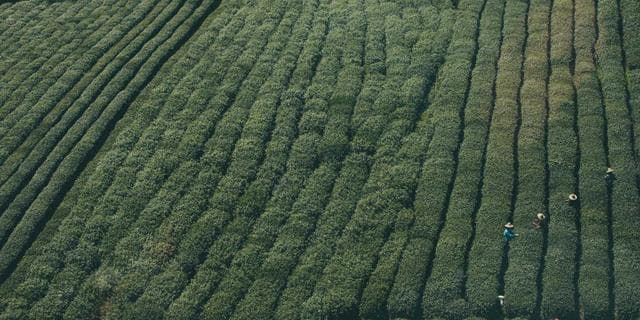 Video generation is live — Kling, Wan, Hailuo, and Seedance in one API